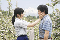 奇跡のリンゴ(200)
