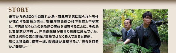 STORY