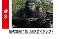 3 ̘fFVIiCWOj