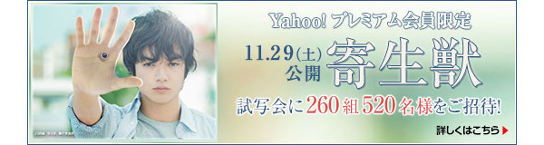 yYahoo!v~Az11/29iyjJu񐶏bv ʉ260g520lҁI