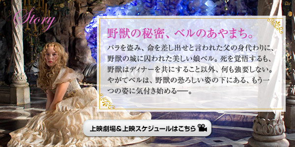 STORY