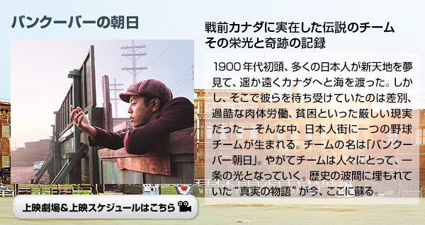 oN[o[̒