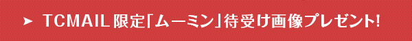 TCMAILu[~vҎ󂯉摜v[gI