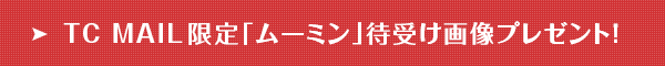 TC MAILu[~vҎ󂯉摜v[gI