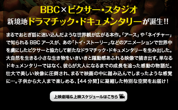 BBC�~�s�N�T�[�E�X�^�W�I�@�V���n�h���}�`�b�N�E�h�L�������^���[���a���I�I