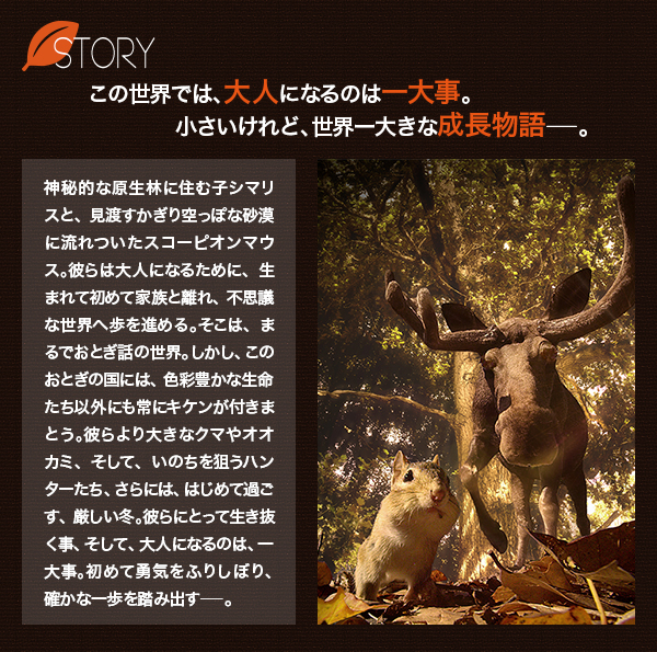 STORY