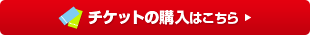 �`�P�b�g�̍w���͂�����