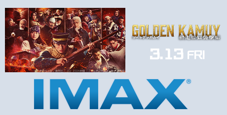 �S�[���f���J���C�@�ԑ��č��P����