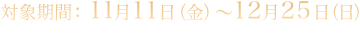 対象期間：2011年11月11日（金）～12月25日（日）